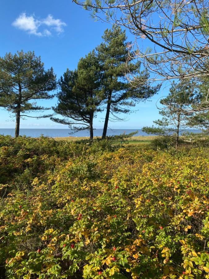 Altes Pastorenhus - Land Und Meer Osterbruch Екстер'єр фото